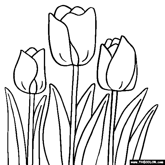 tulip coloring pages printable,printable,coloring pages