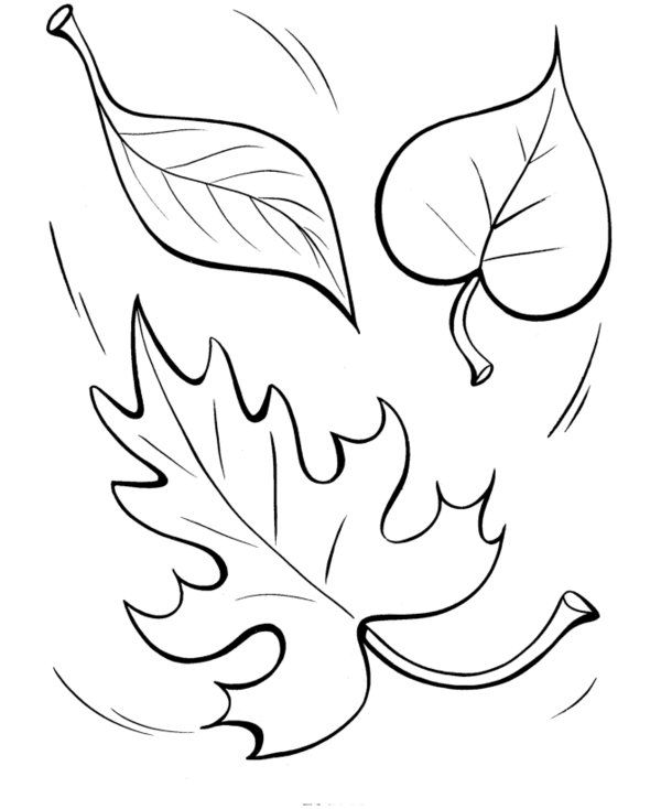 Fall Leaves September and October Autumn Coloring Page