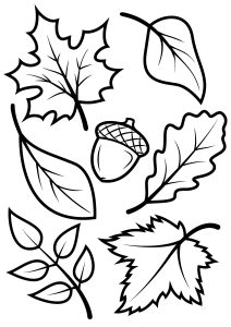 Fall Leaves and Nuts Autumn Coloring Pages for Preschool Toddlers