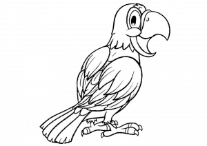 Adult Parrot Bird Coloring Pages Try Various Color Combo for Feathers