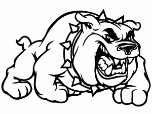 Angry Bulldog Dog Breed Coloring Page