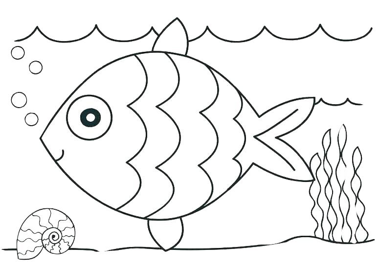 Easy to Draw fish and Shell Ocean Coloring Pages for Kindergarten