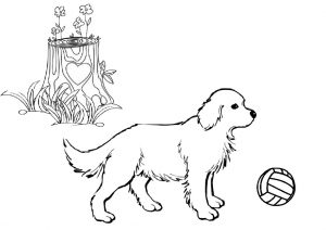 Golden Retriever Dog Coloring Pages