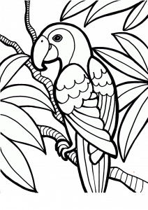 Printable Tropical Parrot Coloring Pages
