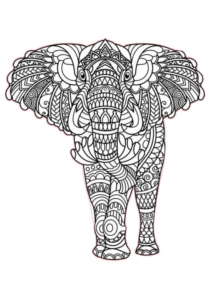 Download Elephant Zentangle Adult Coloring Pages - Print Color Craft