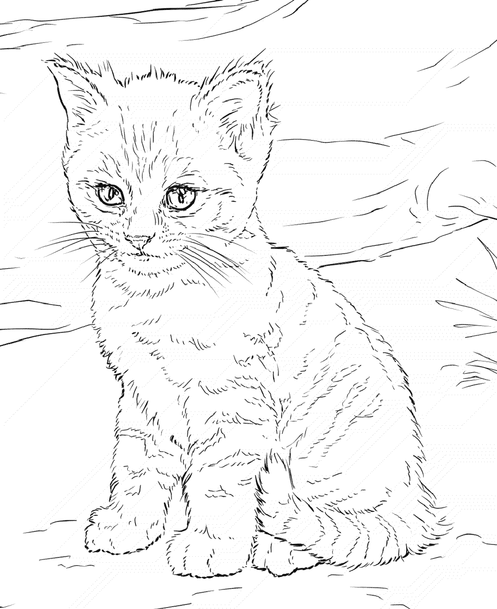 Printable Realistic Looking Cat Coloring Pages for Adults
