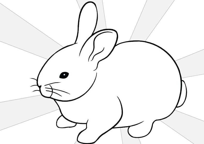 Coloring Pages of a Sweet and Lovely Rabbit With a Short Fluffy Tail