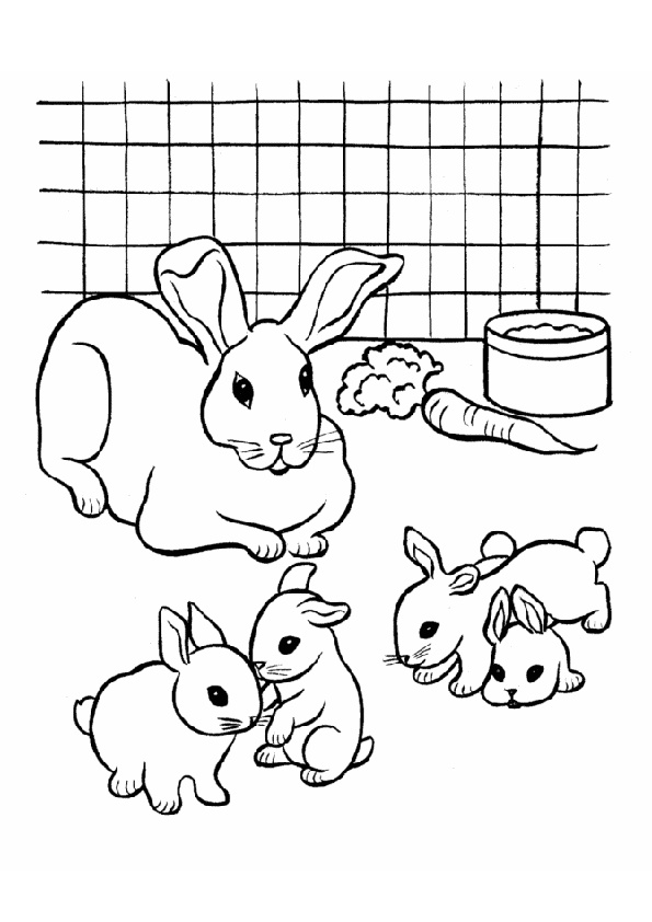 Mother Rabbit Doe with the New Born Kits Rabbit Coloring Pages