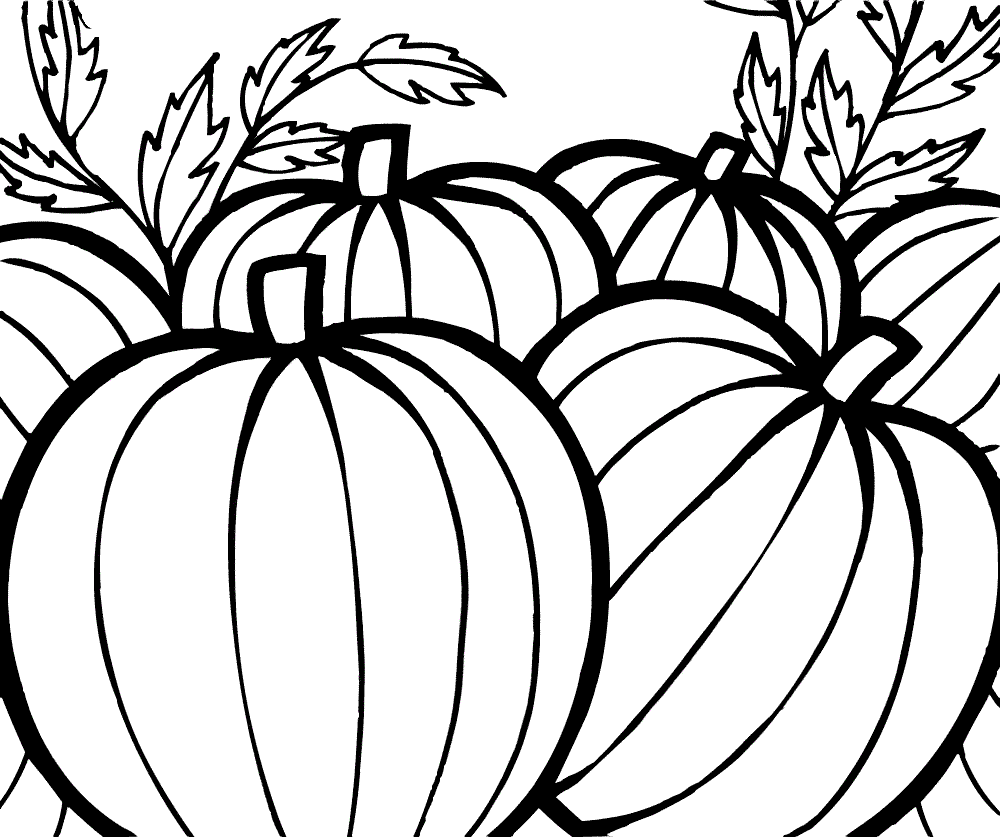Printable Pumpkins Harvest Coloring Pages for Thanksgiving