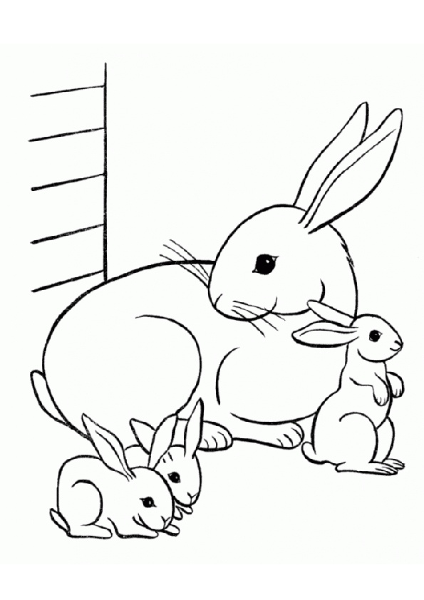 Printable Rabbit and Rabbit Kits Coloring Pages