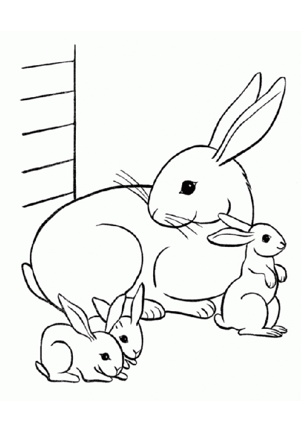 11 Rabbit Coloring Pages: Printable PDF - Print Color Craft