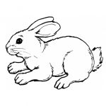 11 Rabbit Coloring Pages: Printable PDF