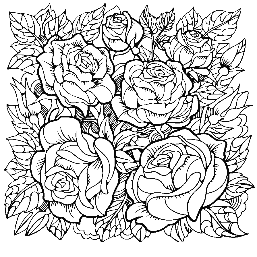 Beautiful Rose Flowers Coloring Pages for Adults - Print Color Craft
