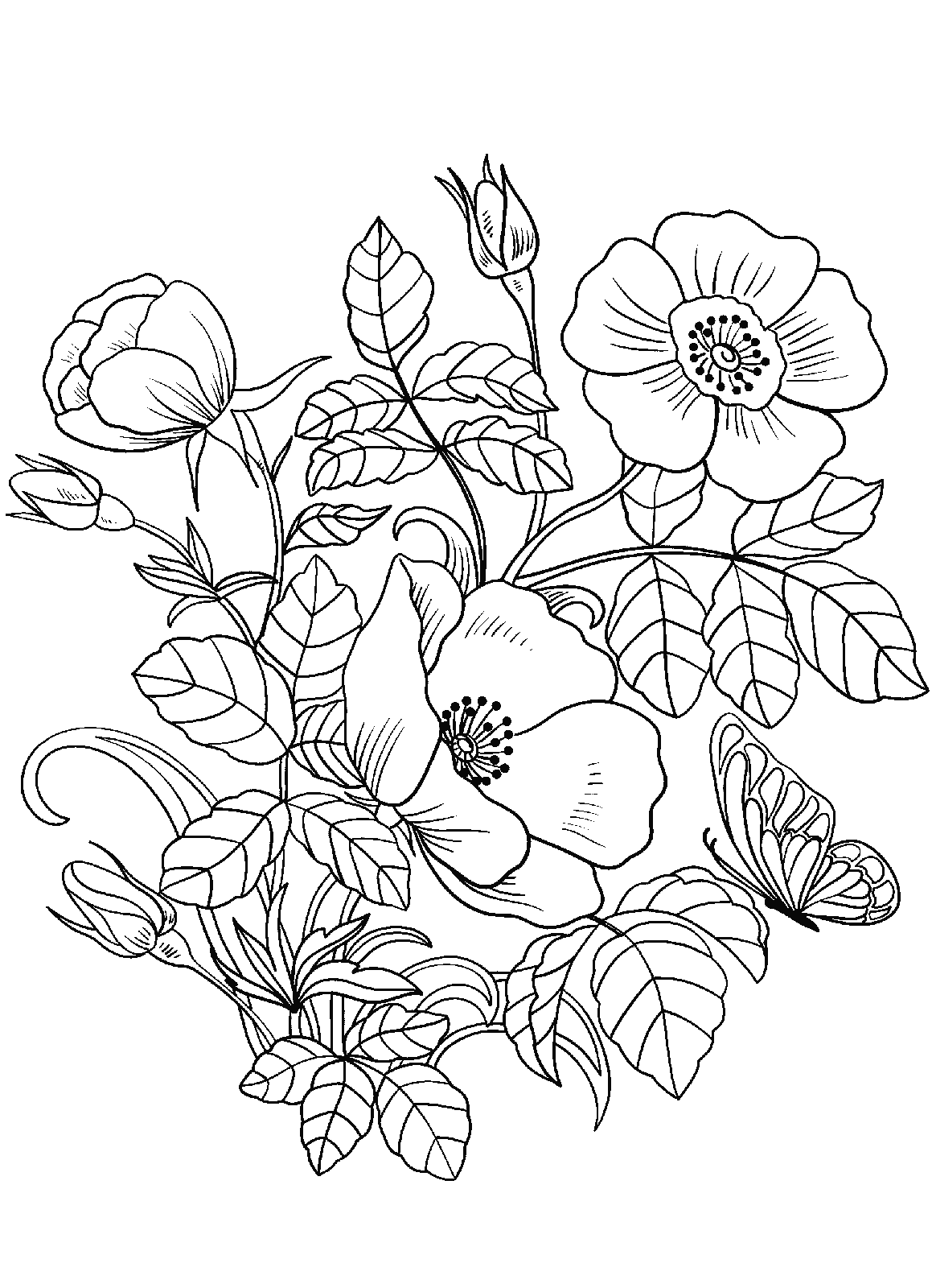 Butterflies and Spring Flowers Coloring Page