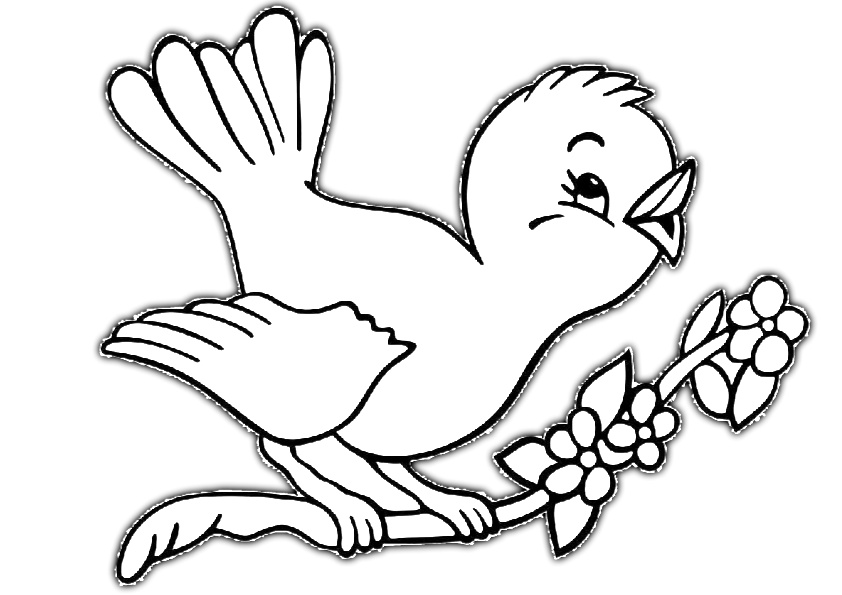 Baby Bird Cute Bird Coloring Pages - 249+ SVG PNG EPS DXF File