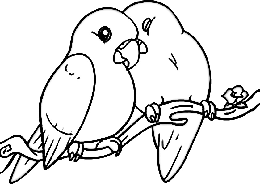 Download Cute Love Birds Coloring Pages - Print Color Craft