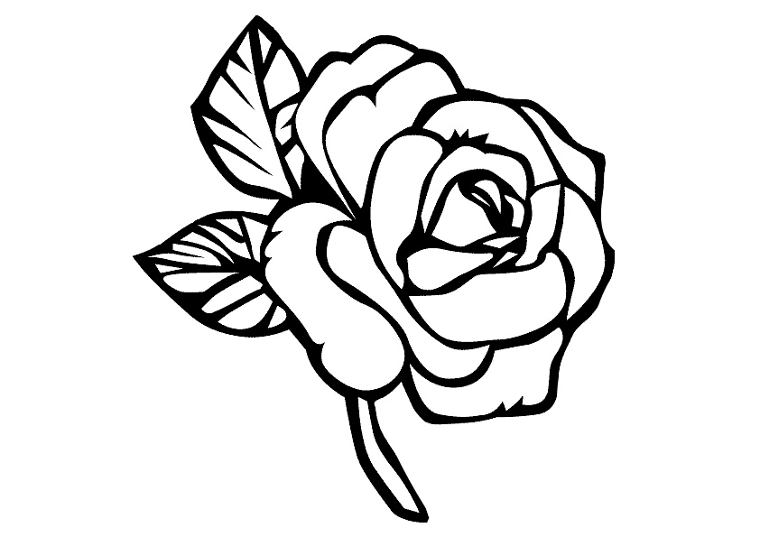 Easy and Simple Rose Flower Coloring Pages Print Color Craft