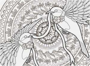 Printable Birds Coloring Pages for Adults