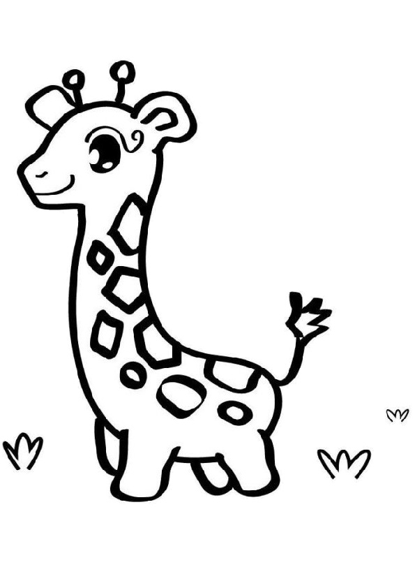 Printable Easy to Draw and Color Baby Giraffe Coloring Pages