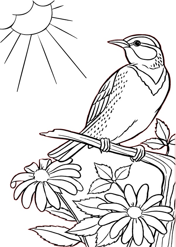 Sparrow Bird on a Tree with Lovely Flowers Printable Coloring Pages