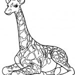 14 Giraffe Coloring Pages Printable Animal PDFs