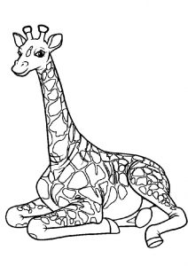 Tallest Mammal Giraffe Taking a Rest Coloring Pages