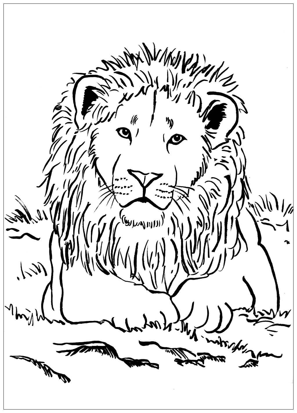 Adorable Lion Coloring Page