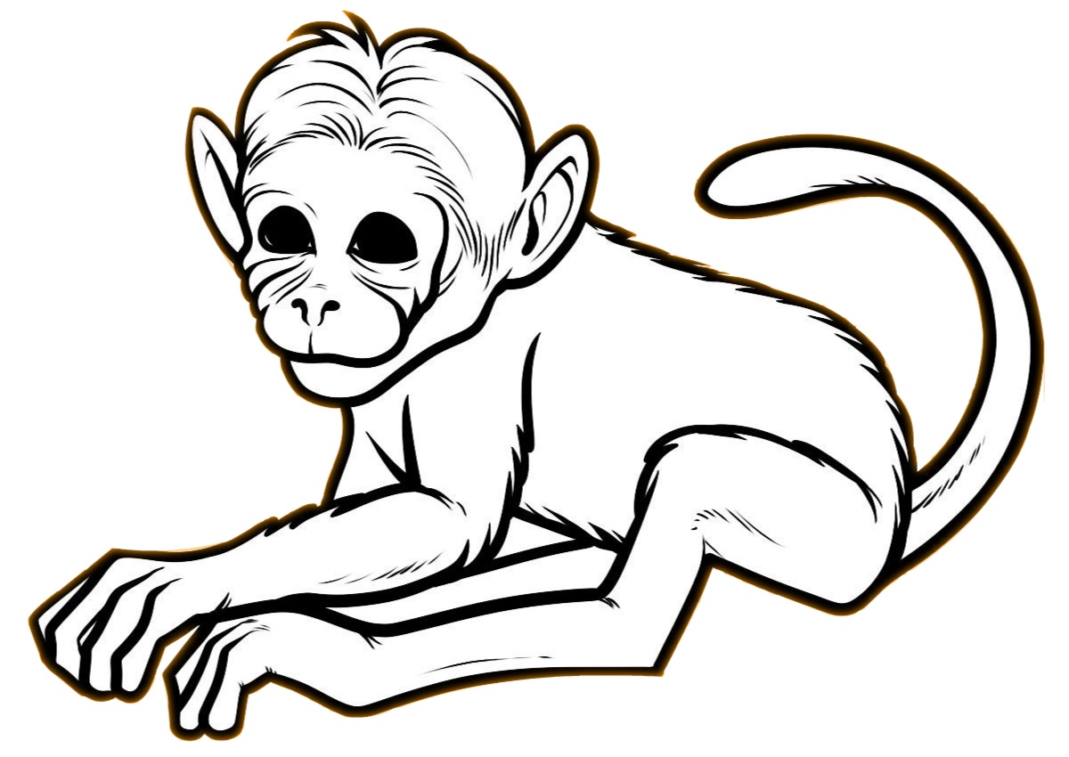 Cute And Realistic Looking Baby Monkey Coloring Pages