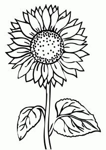 Enhanced Printable Sunflower Coloring Pages