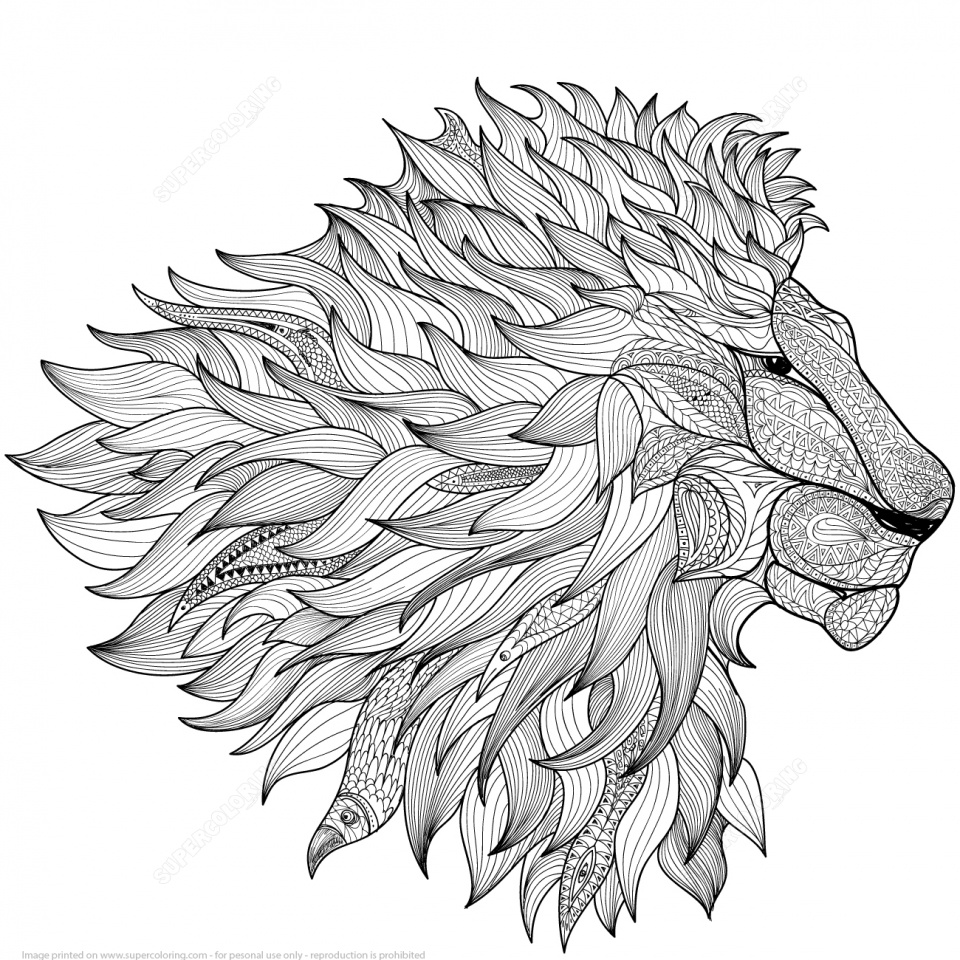 Hard to Color Lion Coloring Pages Stress Relief Adult Coloring
