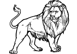 Majestic and Realistic Looking Lion Coloring Pages Print and Color