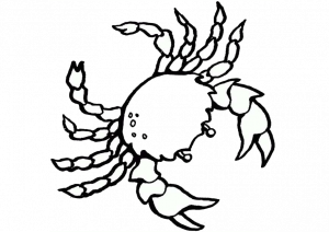 Sea Saltwater Crab Coloring Pages