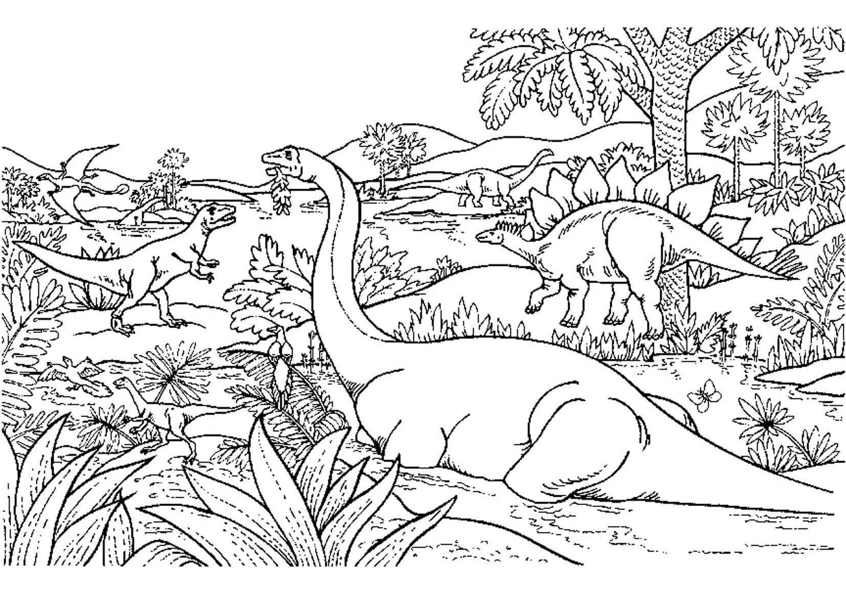 Advanced Dinosaur Coloring Page Difficult and Hard to Color Pages