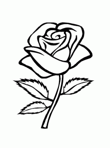 Pretty Rose Flower Coloring Page
