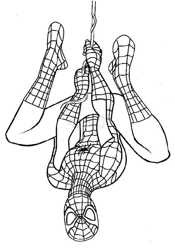 spiderman coloring spider man printable superhero upside down a4 hanging