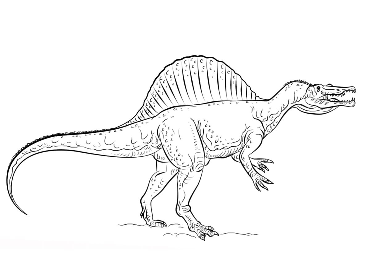 Spinosaurus Dinosaur Coloring Page Real Like Dinosaur