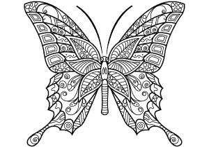 Mandala Hard to Color Adult Butterfly Coloring Pages