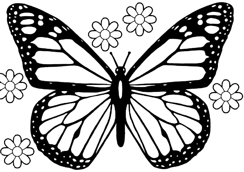 Monarch Butterfly Coloring Pages With Simple Flowers Print