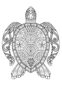 Animals Turtle Adult Mandala Coloring Pages