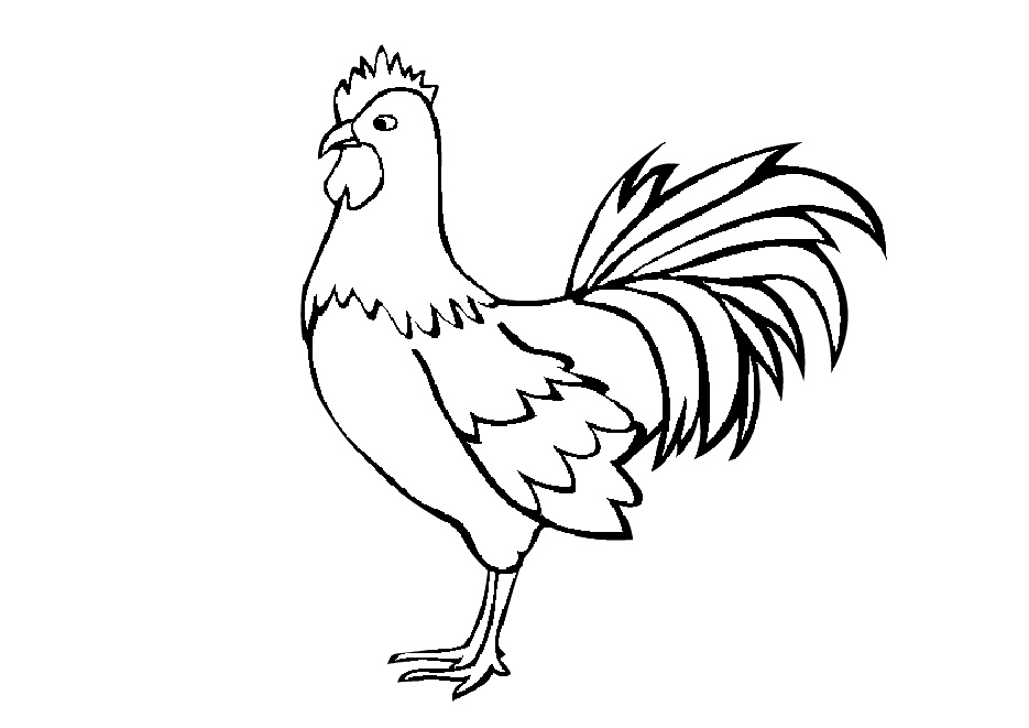 Easy Print and Color Rooster Coloring Pages
