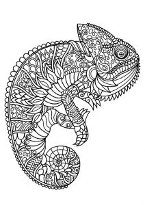Printable Adult Animal Chameleon Coloring Pages Hard to Color