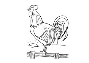 Rooster Crowing on Sunrise Educational Coloring Pages for Toddlers