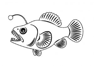 Angler Fish Sea Saltwater Fish Coloring Pages