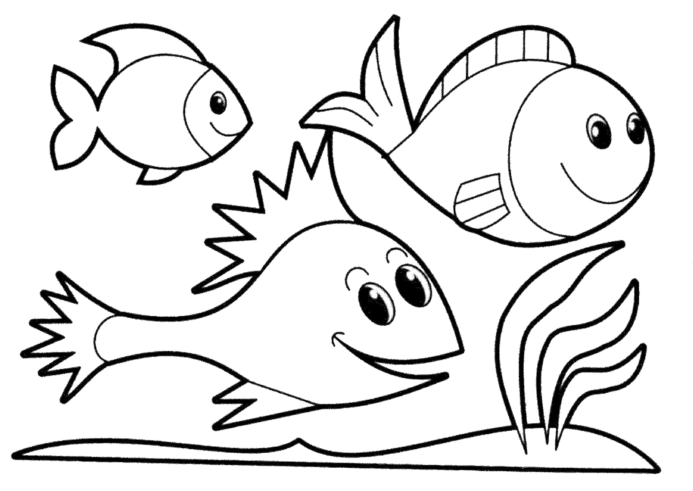 Download 224+ Tropical Fish Coloring Pages PNG PDF File - Cos Free Mockup  Design Balsamiq Rapid Effective And Fun Wireframing Software