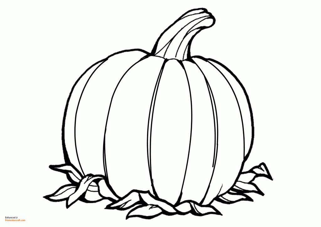 27 Printable Pumpkin Coloring Pages for Fall - Print Color Craft