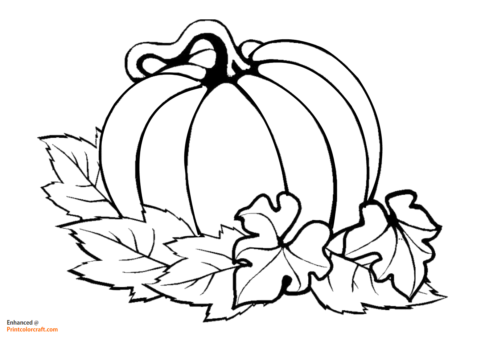 Thanksgiving Pumpkin Coloring Pages