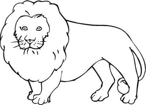 baby tiger coloring pages bratz coloring pages. baby zoo lion animals ...