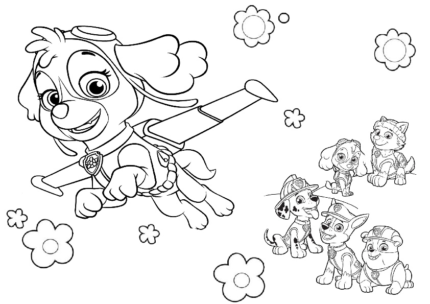 Paw Patrol Printable Coloring Pages for Kids (2020) » Print Color Craft